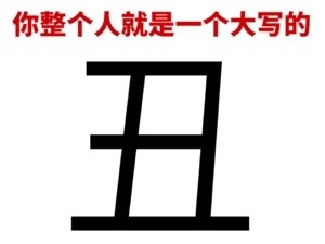 我整个人就是一个大写的....（纯文字表情包）