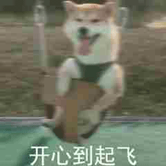 表情包斗图柴犬沙雕表情包