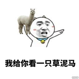 我给你看一只草泥马