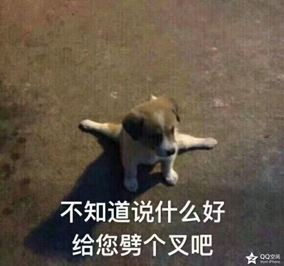 不知道说什么好给您劈个叉吧☆QQ空间from iphone