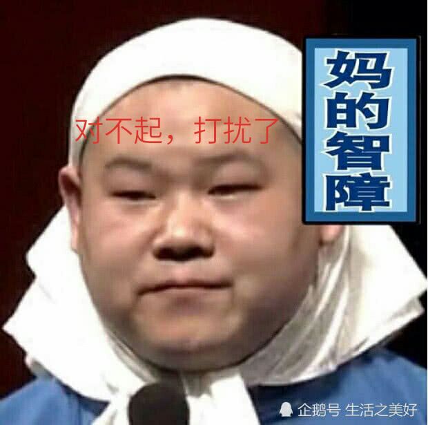 起批的魯企鹅号生活之美好