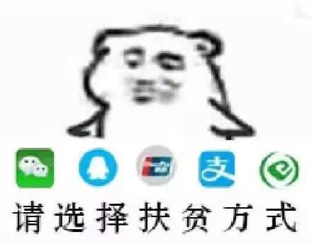 请选择扶贫方式