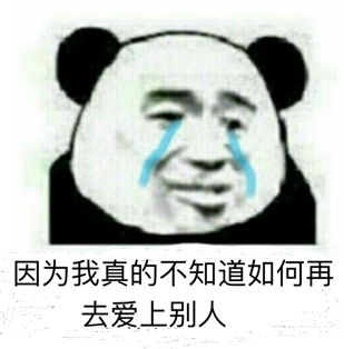 因为我真的不知道如何再去爱上别人