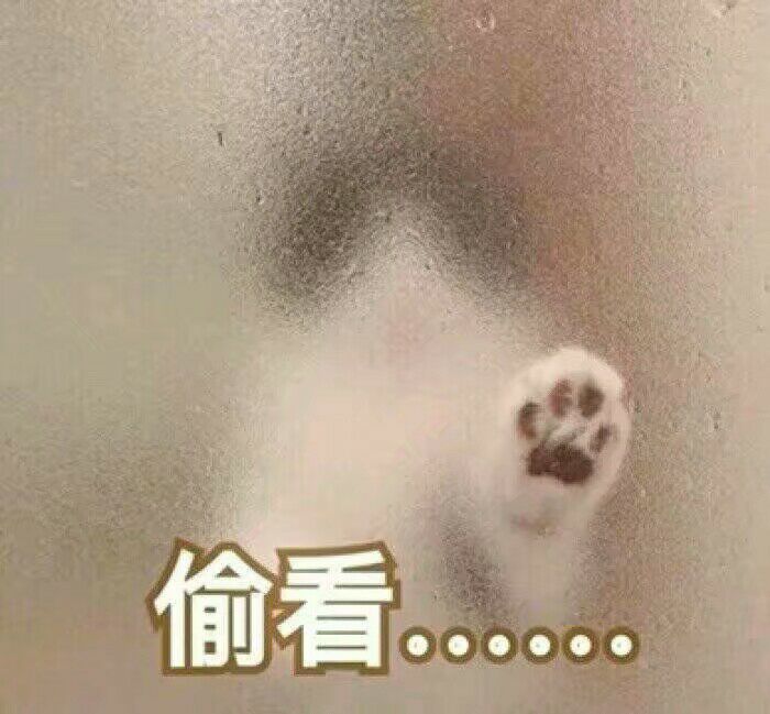 偷看oo。