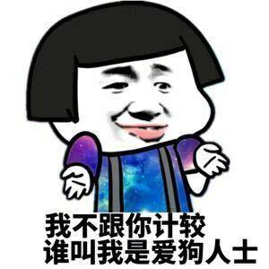 我不跟你计较谁叫我是爱狗人士