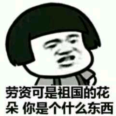 劳资可是祖国的花朵，你是个什么东西