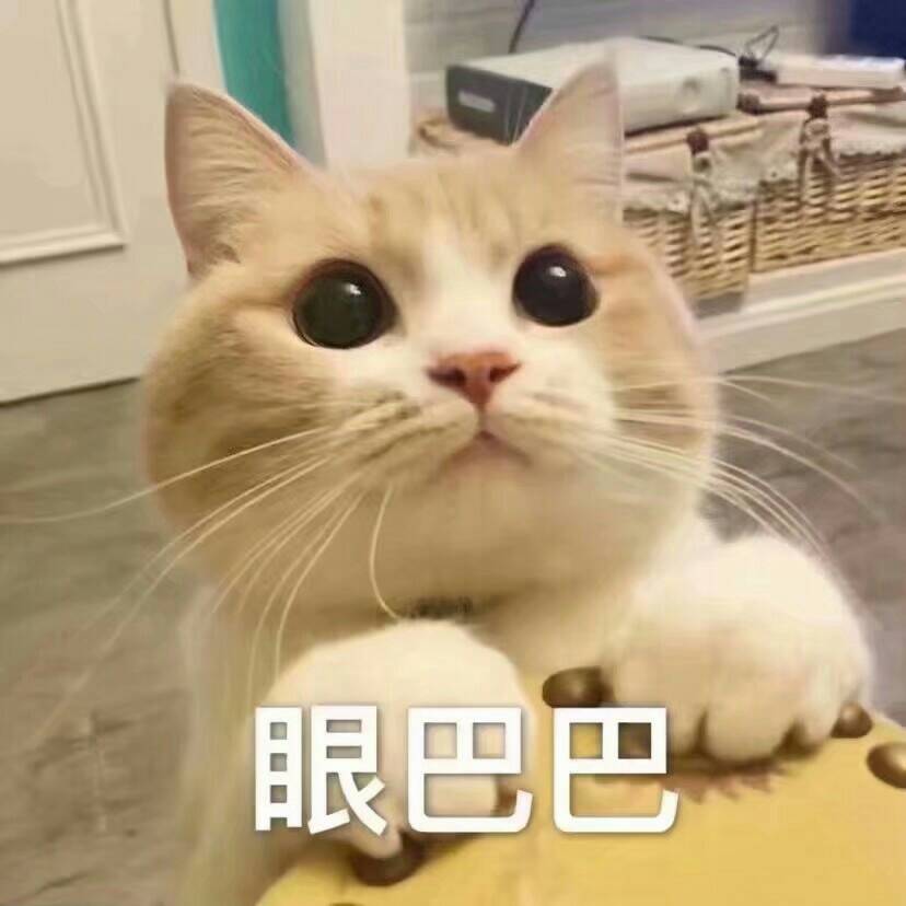 眼巴巴