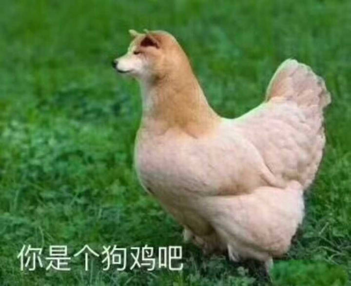 你是个狗鸡吧