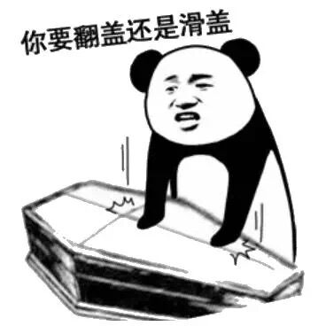 你要翻盖还是滑盖