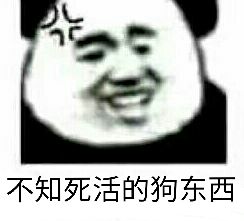 不知死活的狗东西