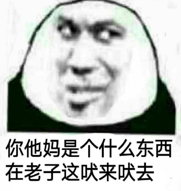 你他吗是个什么东西