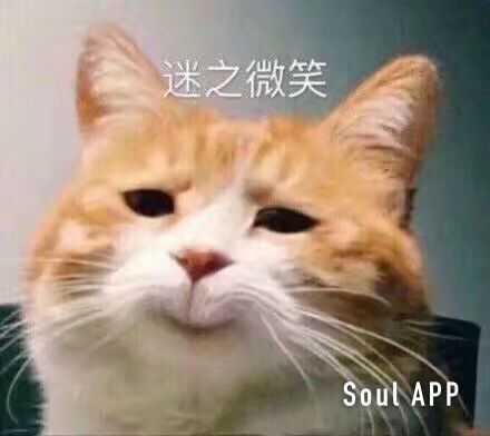 迷之微笑Soulac