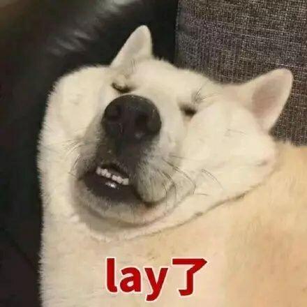 lay了