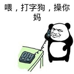 喂，打字狗，操你妈