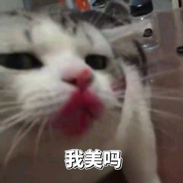 我美吗