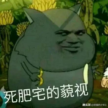 死肥宅的蔑视