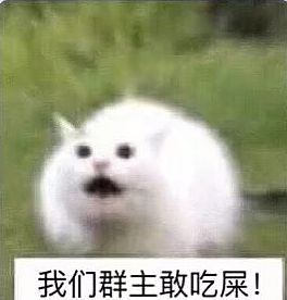 我们群主敢吃屎