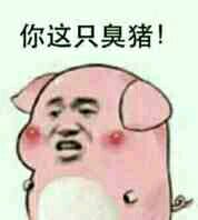 你这只臭猪