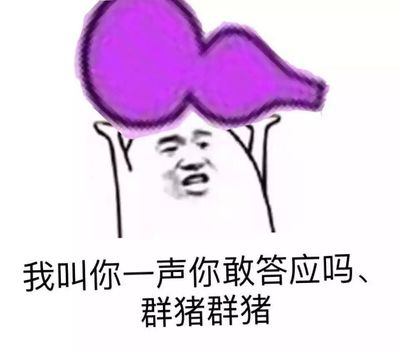 我叫你一声你敢答应吗、群猪群猪