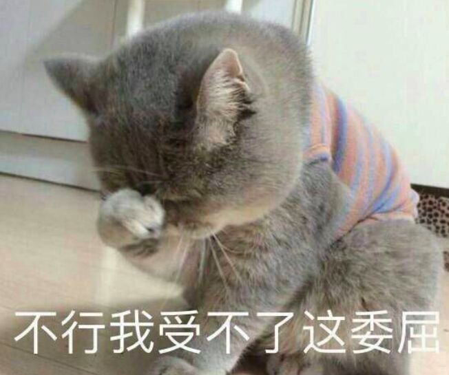 不行我受不了这委屈
