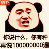 VIP你说什么，你有种再说1000000