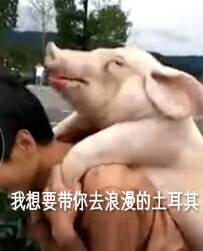 我想要带你去浪漫的土耳其