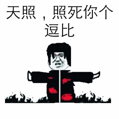 天照，照死你个比