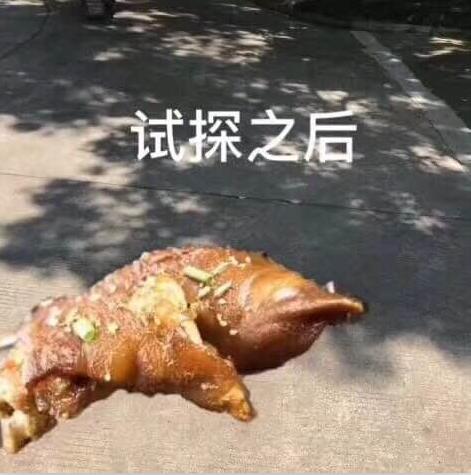 试探之后