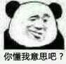 你懂我意思吧？