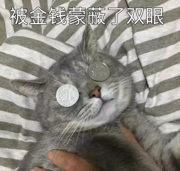 被金我掌双眼