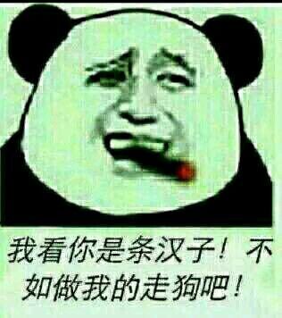 我看你是条汉子！不如做我的走狗吧！