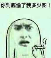 你到底偷了我多少图！