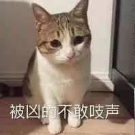 被凶的不敢之声