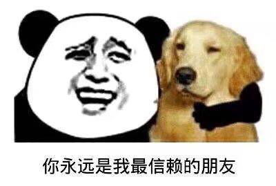 你永远是我最信赖的朋友