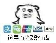 VISA .Pr这里全都没有钱