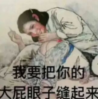 我要把你的大屁眼子缝起来