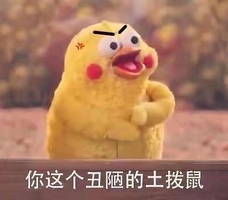你这个丑陋的土拨鼠