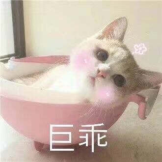 聚怪