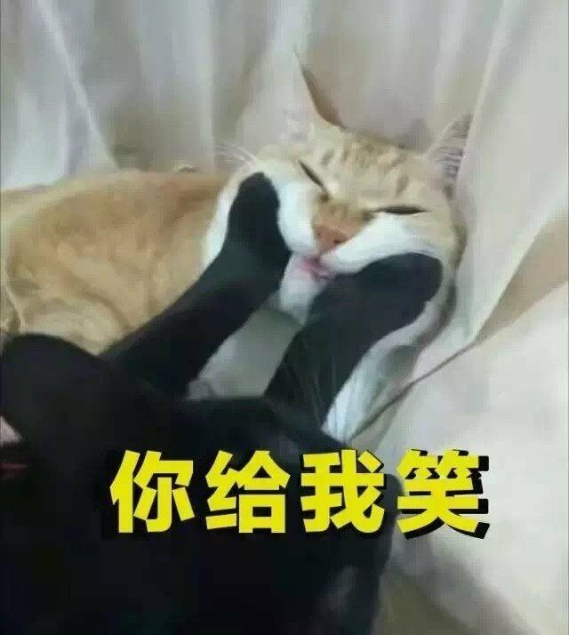 你给我笑