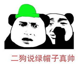 二狗说绿帽子真帅