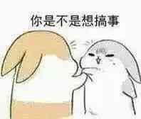 你是不是想搞事