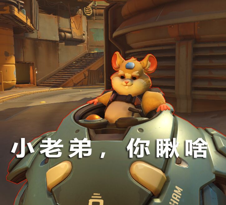 小老弟，你瞅啥