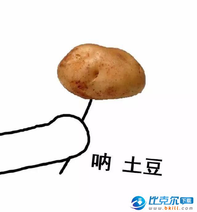 呐土豆克冗www.bkill.com