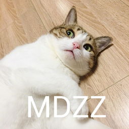 MDZ