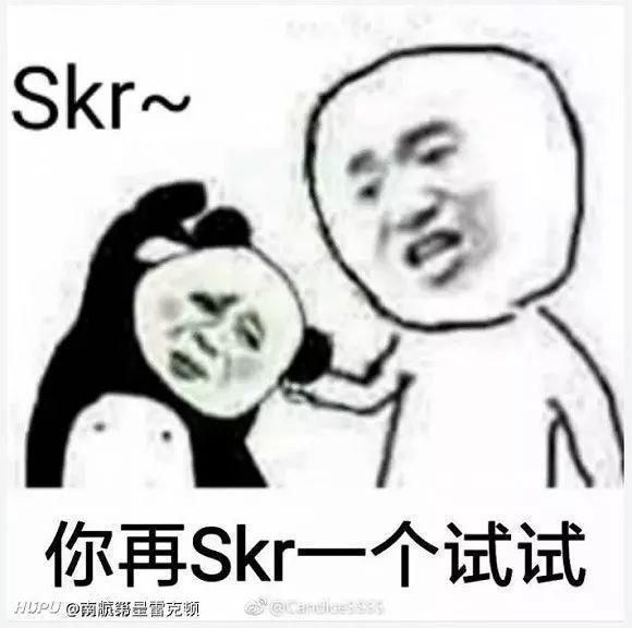 你再skr一个试试