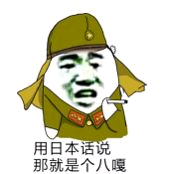 用日本话说那就是个八嘎