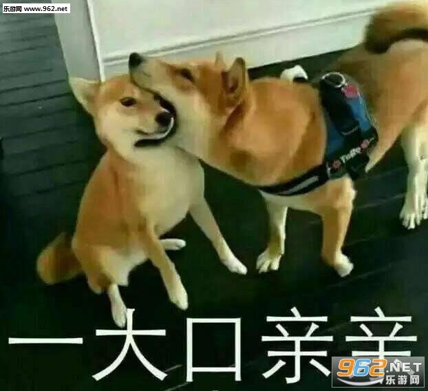 游司ww962，net大口亲宝