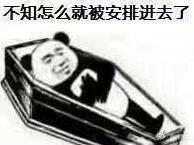 不知怎么就被安排进去了