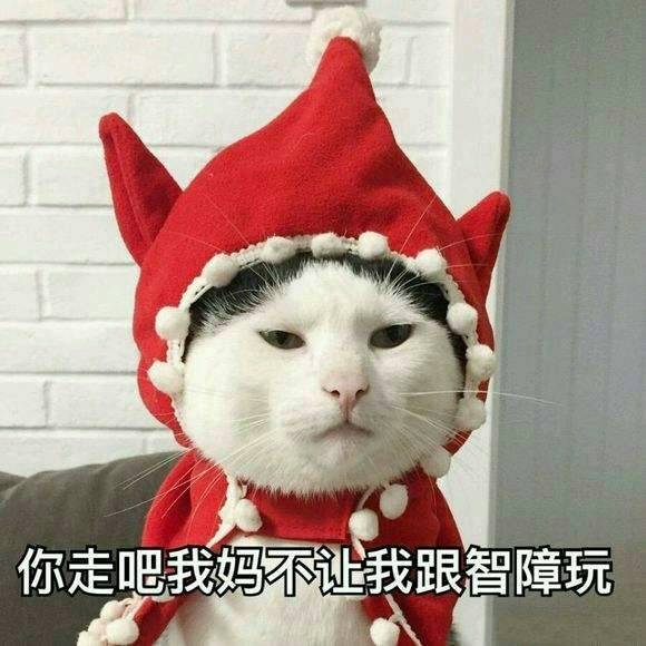 你走吧我妈不让我跟智障走