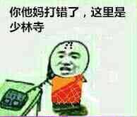你他吗打错了，这里是少林寺